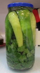 Peppers and Cilantro in Vinegar Solution
